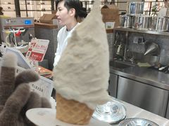 -野人先生Gelato(上海长宁龙之梦店)