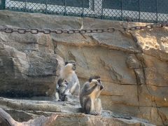 -泉州海丝野生动物世界