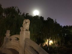 -文瀛公园