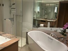 -新加坡文华东方酒店