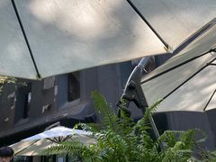 -BOCATA 西班牙餐厅(三里屯店)