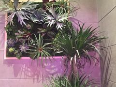 -万达影城(锦华万达广场IMAX店)