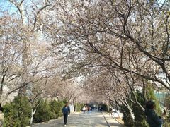 -山东师范大学(千佛山校区)