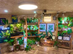 -Rabbit Cafe私房西餐甜点咖啡(栖霞路店)