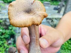 -白草畔自然风景区