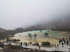 -黄龙山原始森林景区