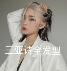-诗全发型