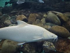 -太平洋海底世界