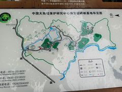 -中国大熊猫保护研究中心雅安碧峰峡基地