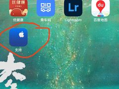 -Apple零售店(成都太古里店)