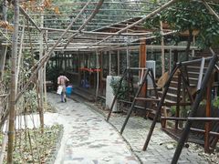 -张鸟园农家乐(张鸟园店)