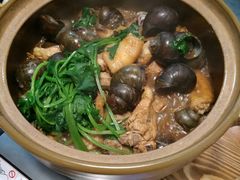-食爺炭炉鸡煲·烧烤