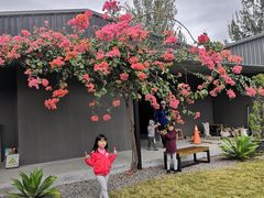 -鹿境梅花鹿生态园区