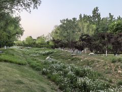 -汉长安城未央宫国家考古遗址公园