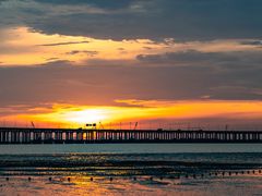 -宝安西湾红树林湿地公园