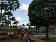 -海南槟榔谷黎苗文化旅游区