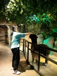 点击看大图 -酷嗒动物文化乐园(cutezoo西溪乐天城店)