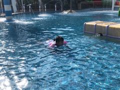 -重庆海昌加勒比海水世界