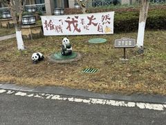 -四明湖
