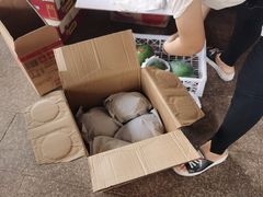 -羊栏农贸市场(羊新路店)