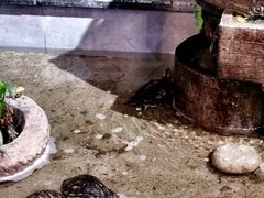 -遇见小厨·北京烤鸭·江湖菜·川菜(广福桥店)