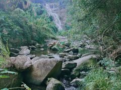 -马峦山郊野公园