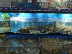 水产区-富港会·海鲜酒楼(墟沟店)