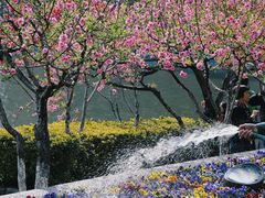 -西湖公园(鼓楼区)