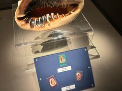 -中国闽台缘博物馆