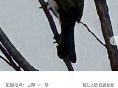 -昆山城市生态森林公园