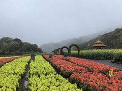 -广州市石门国家森林公园