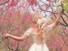 -梁鸿国家湿地公园