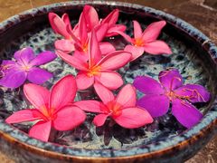 -西双版纳融创皇冠假日度假酒店