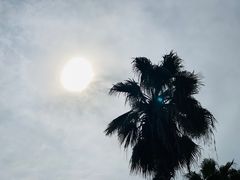 -三亚亚龙湾雅高铂尔曼别墅度假酒店