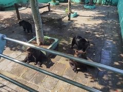 -西霞口神雕山野生动物世界