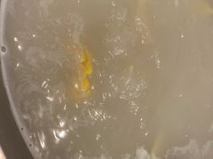 -京门活鱼馆·鱼火锅(百子湾（原红庙）店)