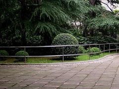 -华山儿童公园