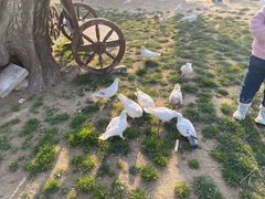 -南通洲际绿博园