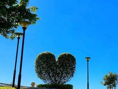 -东莞植物园