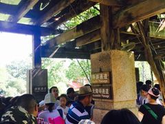 -九曲溪竹筏码头