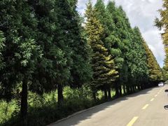 -山王坪喀斯特国家生态公园