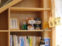 -是阿柴呀！柴犬咖啡·爱喵喵猫咖