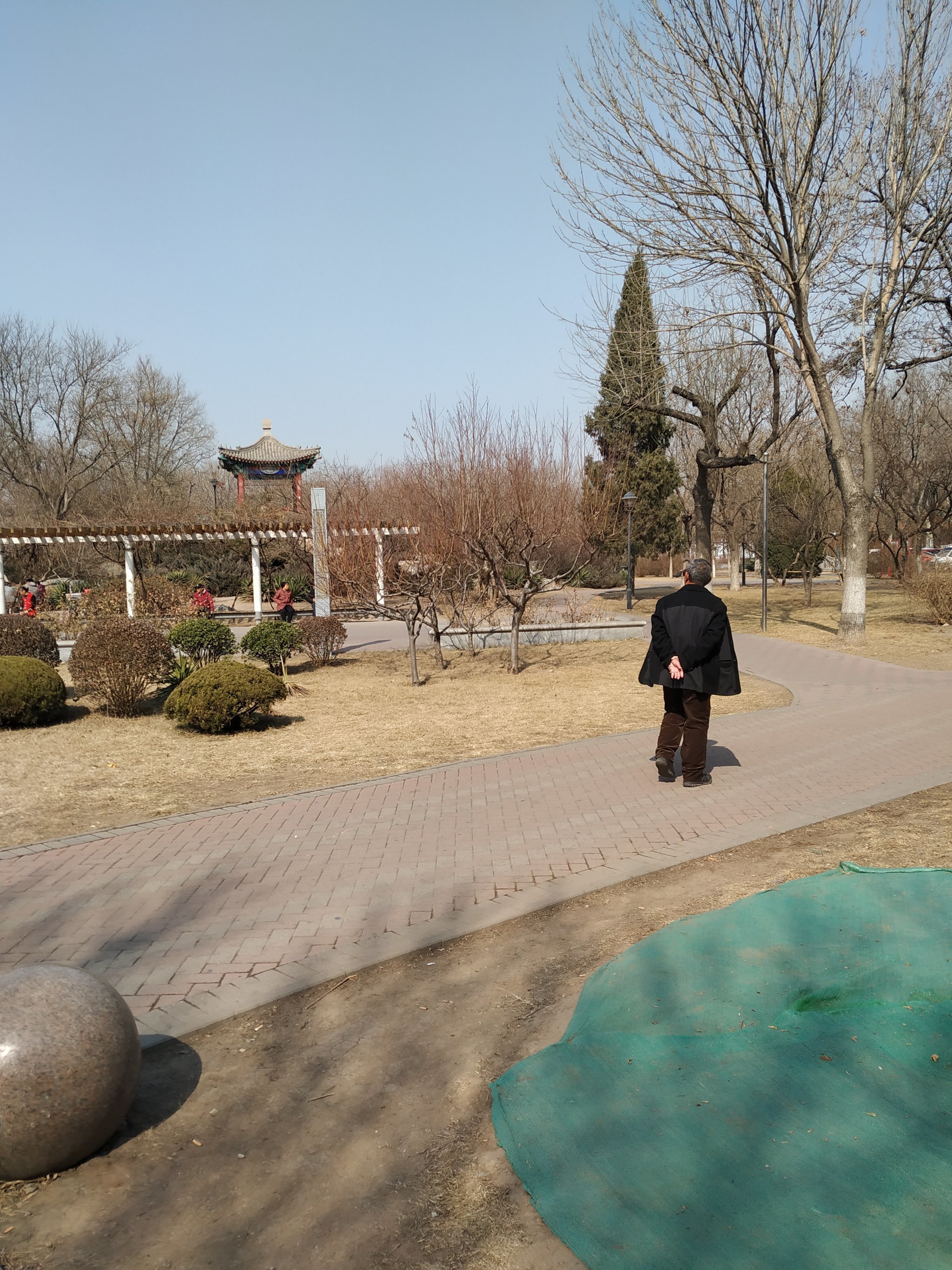珠江公园137河西区小海地评论(1)阳光沙滩下午好94周末愉快3月2日