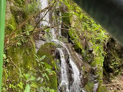 -藏龙百瀑风景区