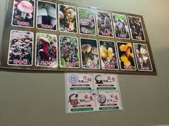 -杨记山珍鸡煲菌汤锅