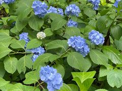 -食膳公园包子铺(烈士公园店)