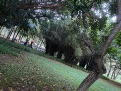 -万绿园