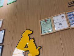 -半岛宠物医院24小时·内窥镜·牙科·碎石中心(府城大道店)