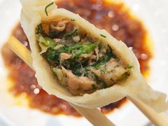 茴香猪肉水饺-枫林饺子