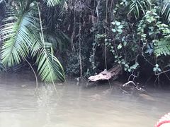-热带雨林自然公园